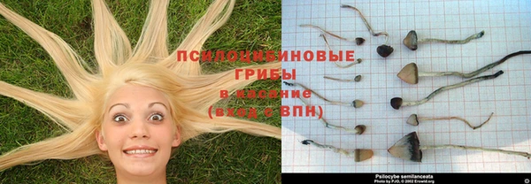 гашиш Алексин