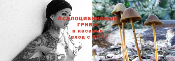соль ск Алексеевка